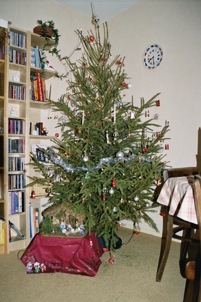 2004010419 kerstboom